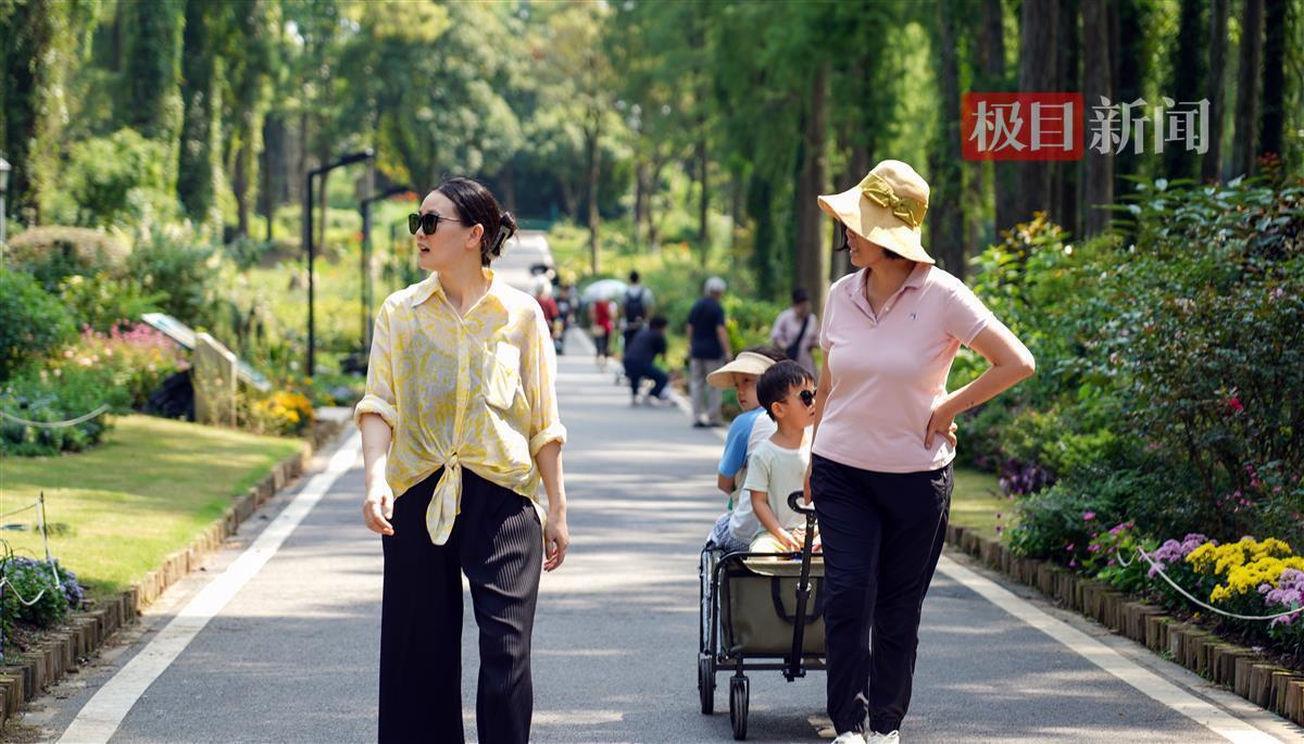 老虎机电子官网